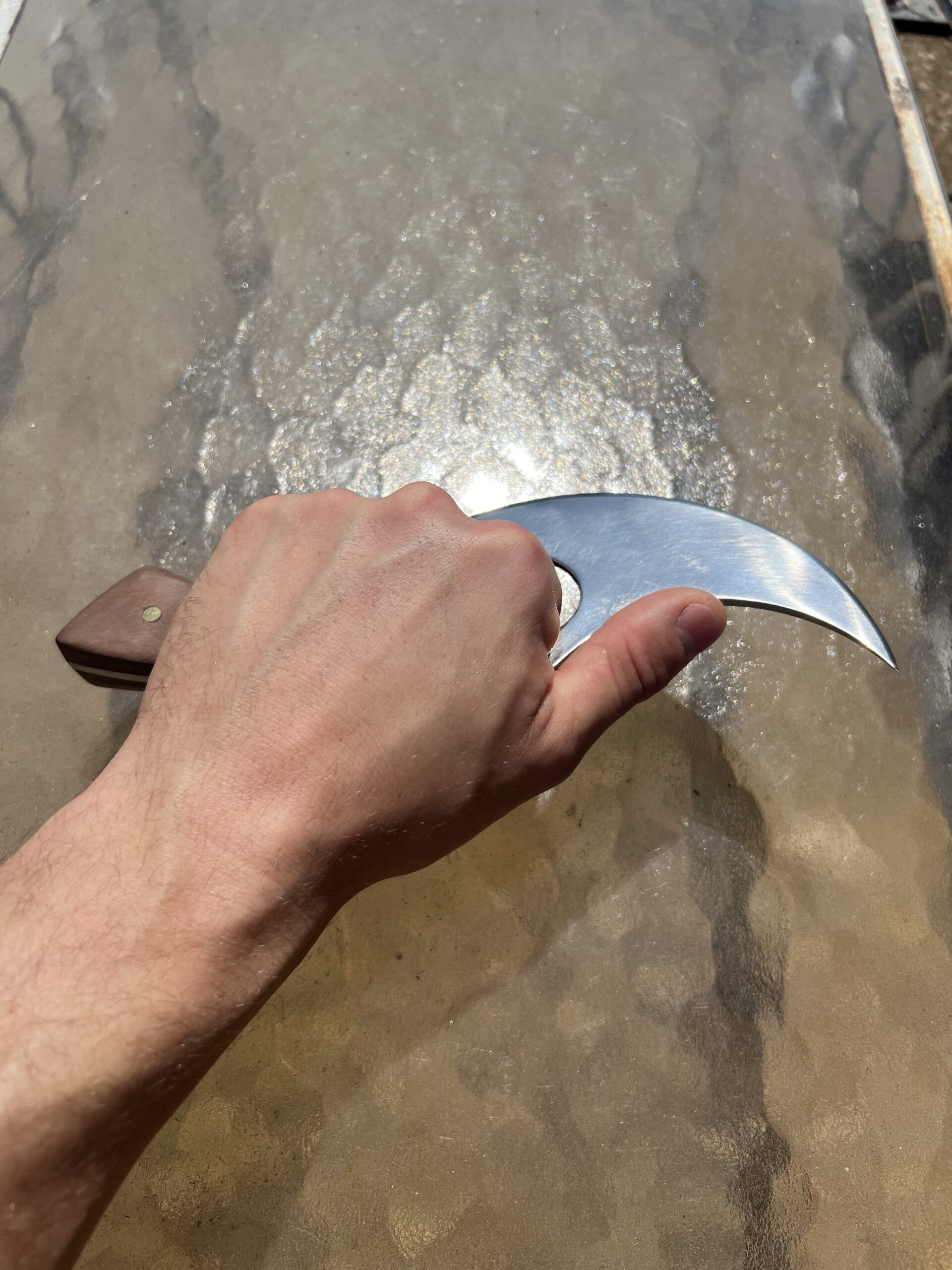 Fireborn Skinner - Image 6